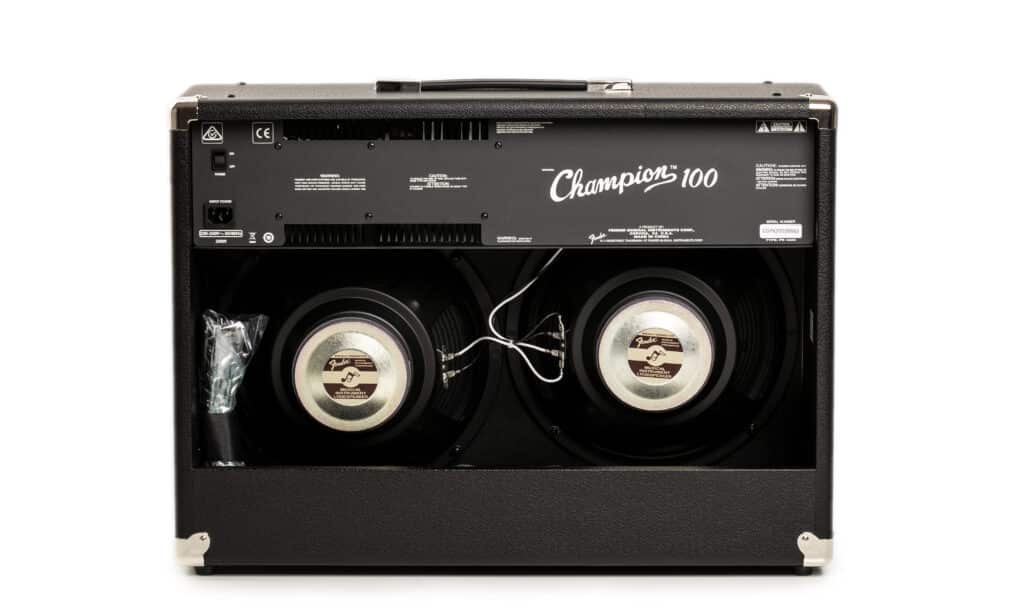 Il pannello posteriore aperto offre una chiara visione dei due speaker.