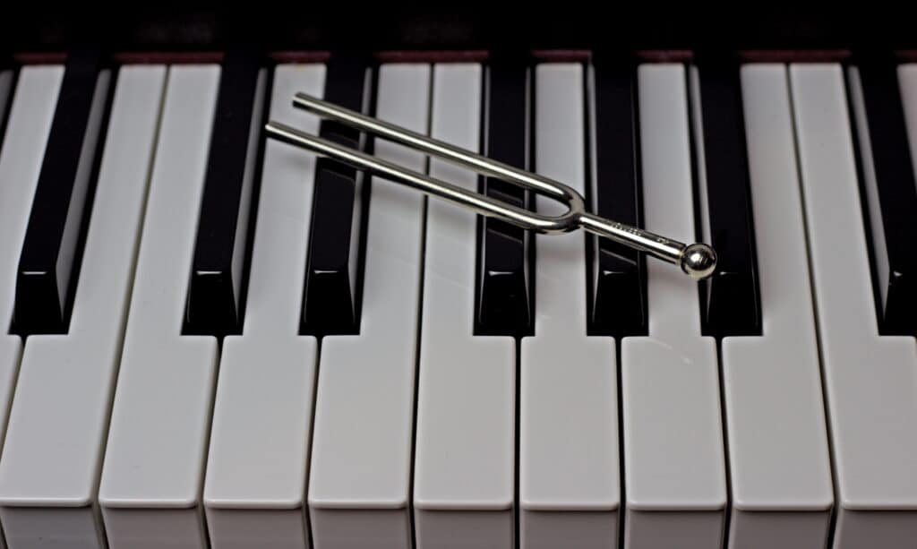 Un diapason o un pianoforte vi aiuteranno a trovare l'intonazione corretta