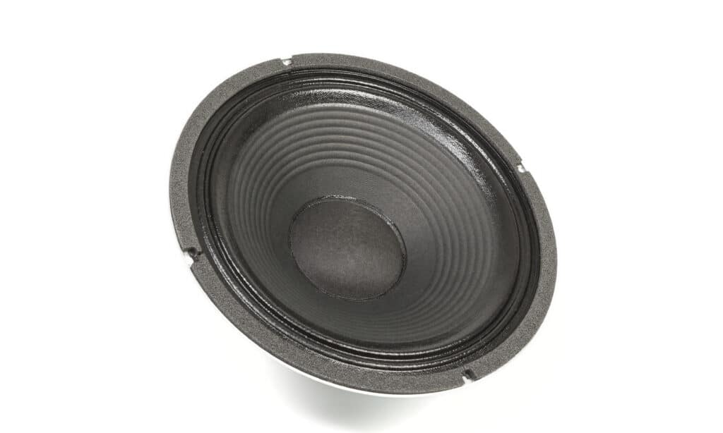 1 Celestion G12K 100 001FIN