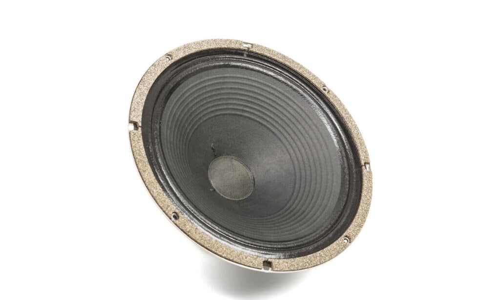 1 Celestion G12M 65 Creamback 001FIN