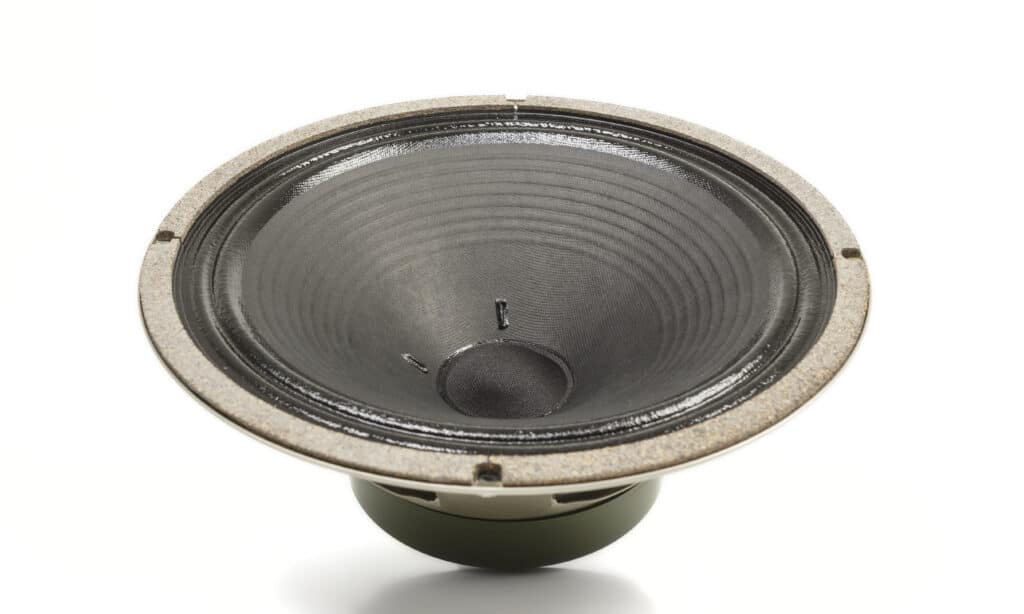 Conclusione Celestion G12M 25 Greenback 004FIN