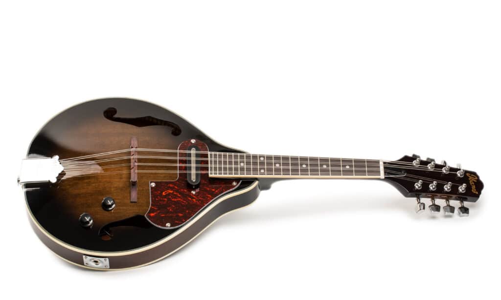 Ibanez Mandolin A Style M510E DVS 001