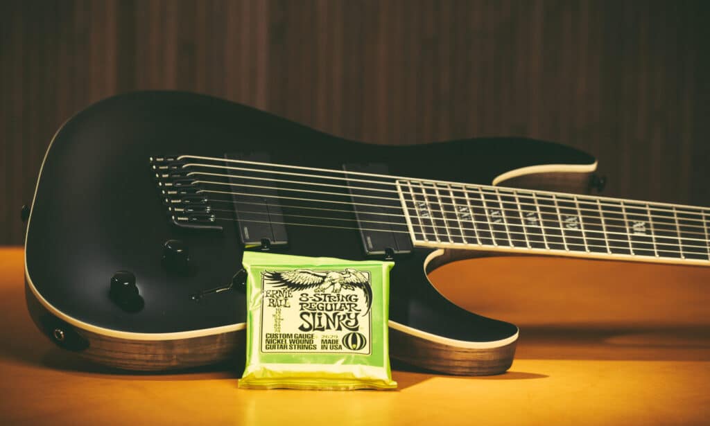 Ernie Ball Saiten 016 FIN 2048x1229