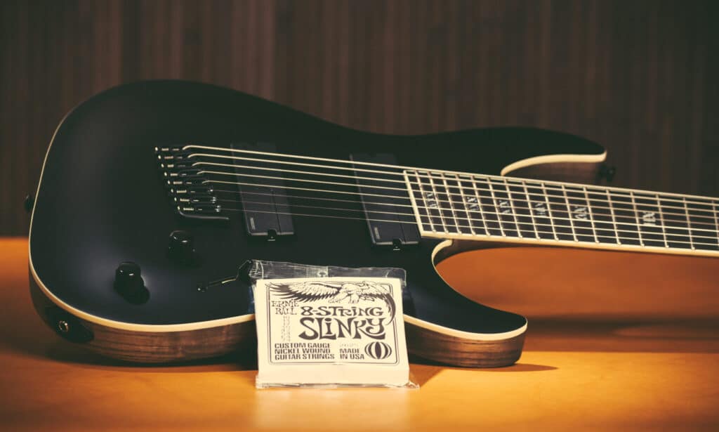 Ernie Ball Saiten 017 FIN 2048x1229