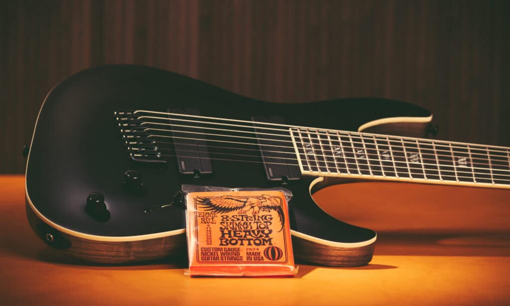 Ernie Ball Saiten 018 FIN 2048x1229
