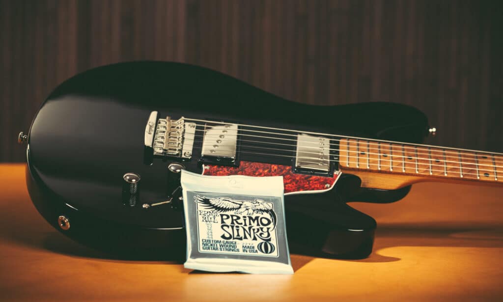 Ernie Ball Saiten 025 FIN 2048x1229