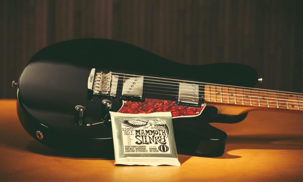 Ernie Ball Saiten 026 FIN 2048x1229