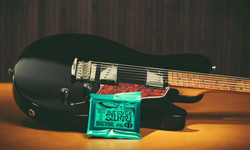 Ernie Ball Saiten 030 FIN 2048x1229