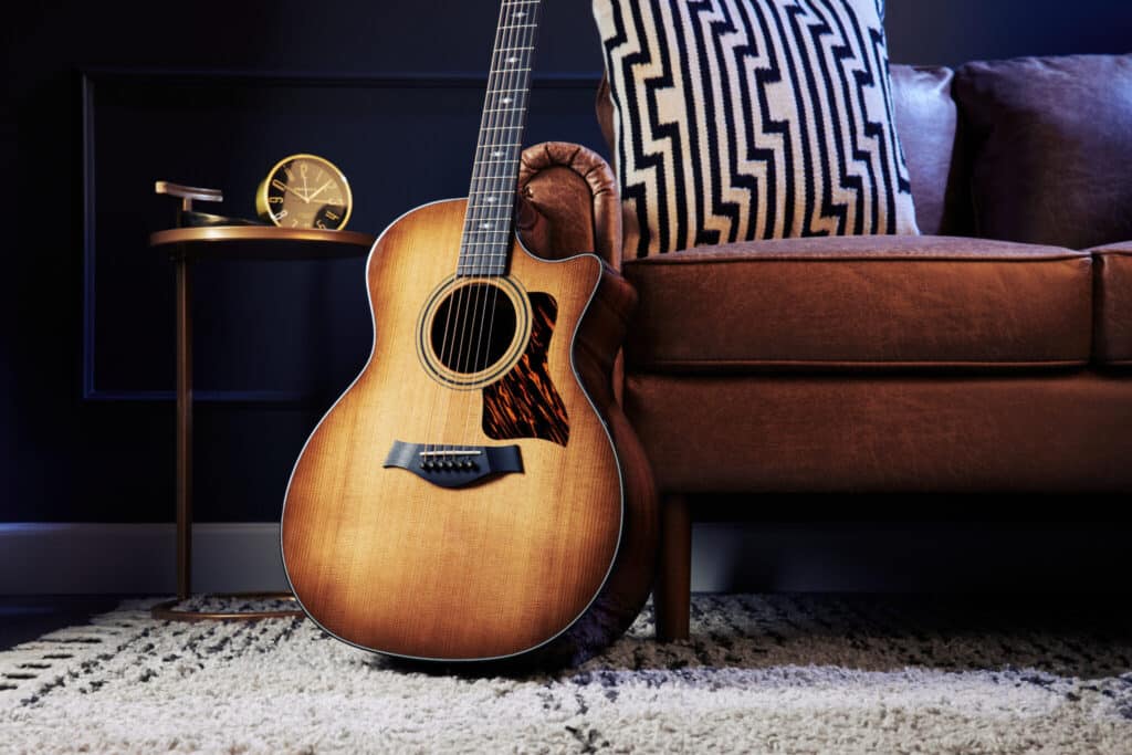 Taylor Guitars 50 anni