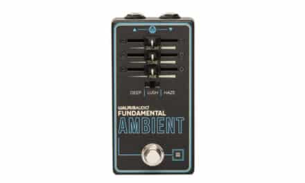 Walrus Audio Fundamental Ambient Reverb – Recensione e Prova