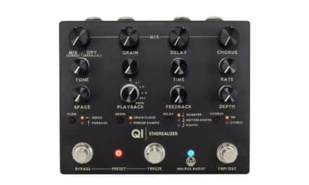 Walrus Audio Qi Etherealizer – Recensione e Prova