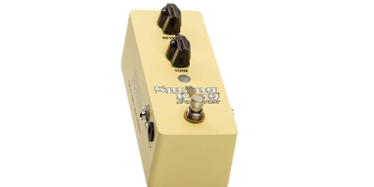 Danelectro SKJ-1 Spring King Junior –  Recensione e Prova
