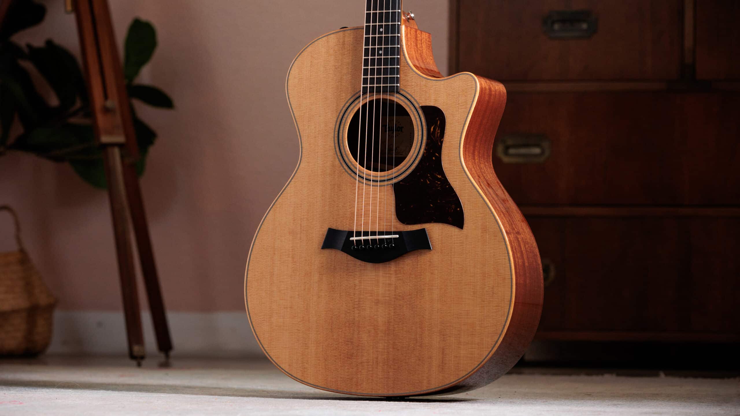 Taylor 314ce Studio Special Edition – Recensione e Prova