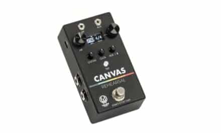 Walrus Audio Canvas Rehearsal – Recensione e Prova