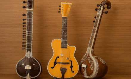 Chitarra indiana: cos’è, come si suona e come funziona