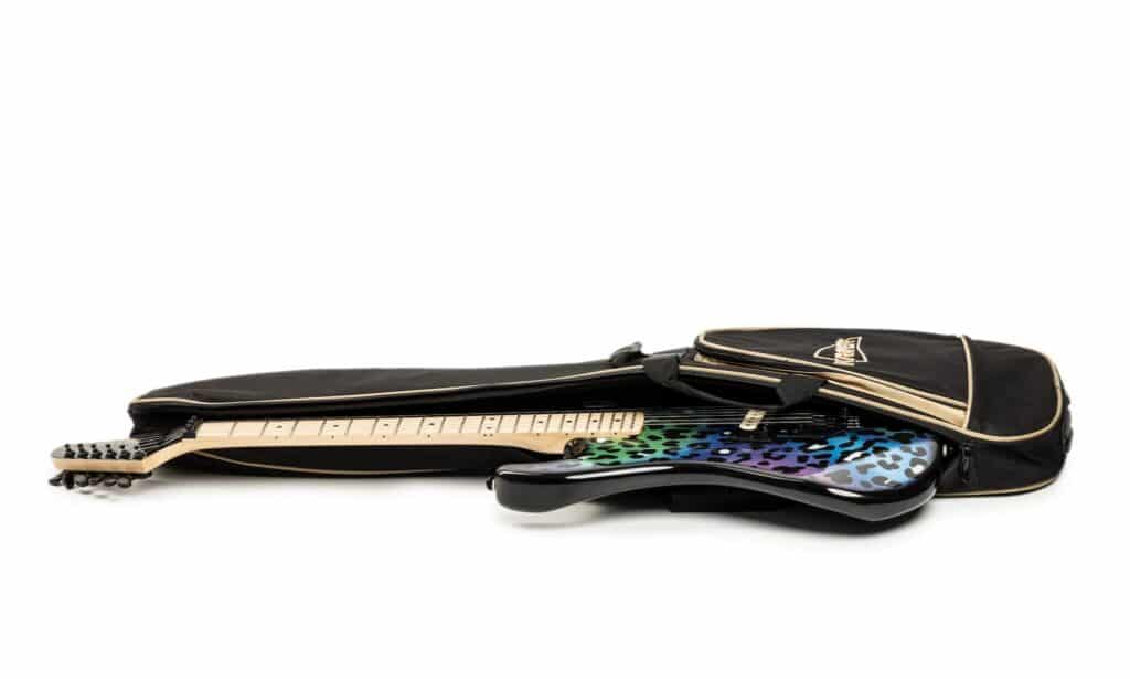 Kramer Feral Cat Baretta 002 FIN 2048x1229