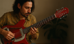 Danelectro riporta in voga il ronzio psichedelico degli anni sessanta, portato in occidente dai Beatles: ritorna il sitar elettrico