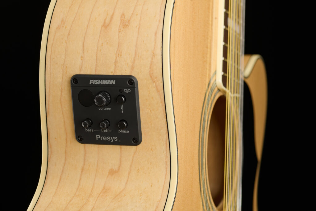 Tutta l'eleganza e lo shimmer delle 12 corde jumbo nella nuova Harley Benton Custom Line King-12 CE NT: scoprine tutti i dettagli