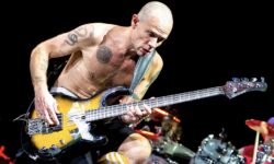 Flea è davvero n.1 nel mondo? Honora vola, ma i dati globali raccontano un’altra storia sul nuovo album del bassista dei RHCP