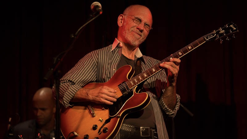 Il suono di Larry Carlton con gli Steely Dan non viene dal Dumble: ecco l'amplificatore che usava davvero in studio Mr. 335.