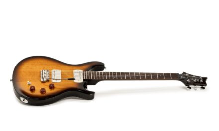 Recensione e prova della PRS SE DGT Standard – Cosa offre la versione semplificata della signature di David Grissom?