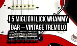 Lick whammy bar