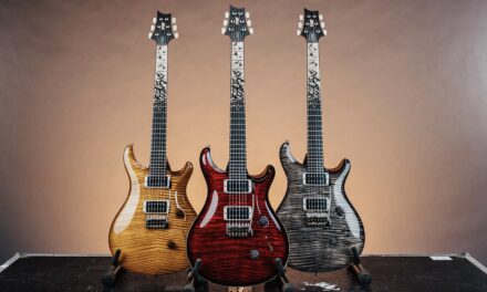 L’esclusività del Private Stock sulla serie Core: PRS Custom 24 Birds of a Feather