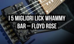 tremolo Floyd Rose